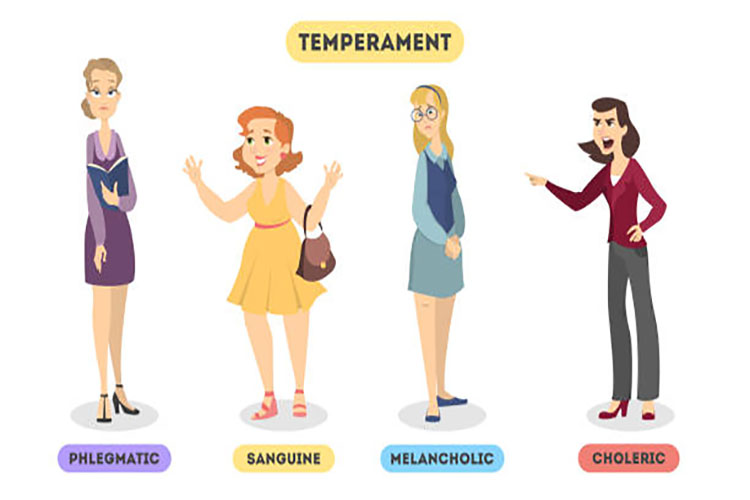 Strengths and weaknesses of the four temperaments