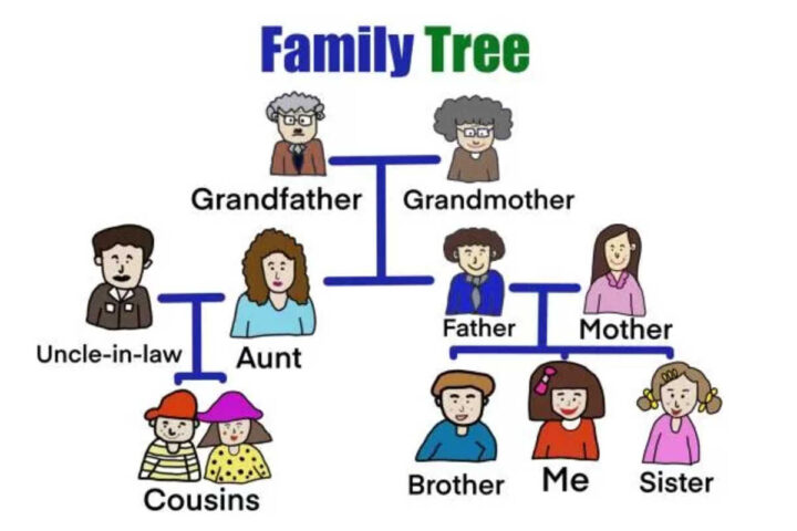 Cousin family tree