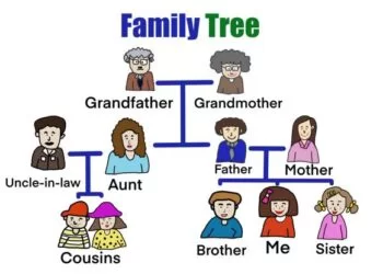 cousins - family tree