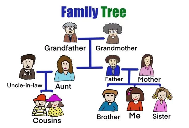 cousins - family tree