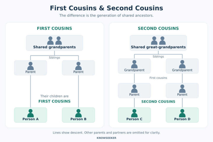 first and second cousins illustration