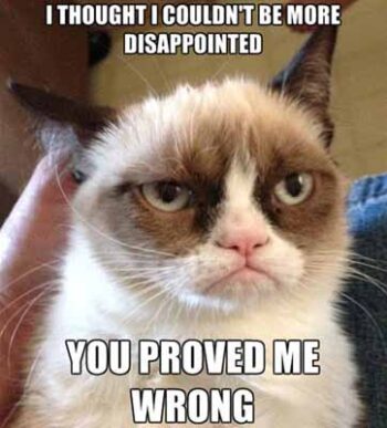 50 Hilarious Disappointment Memes That Are Very Relatable