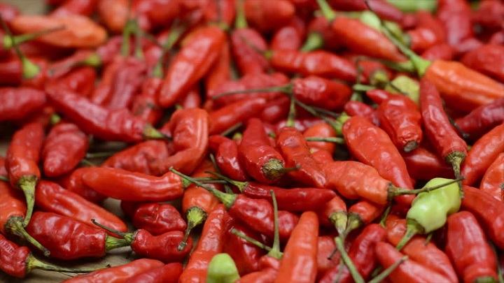 Chili pepper