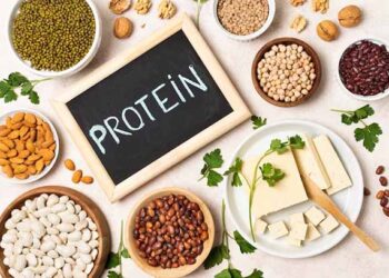 Are proteins not good for adult?