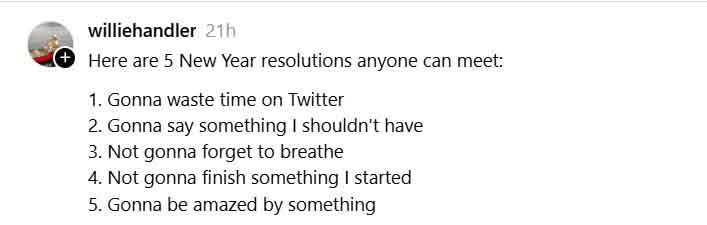 Funny new year resolutions