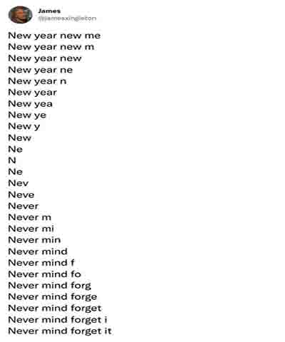 Funny new year resolutions
