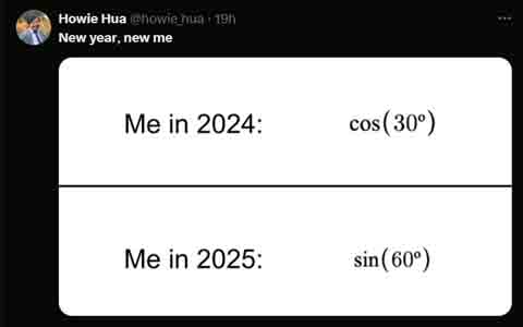 Funny new year resolutions