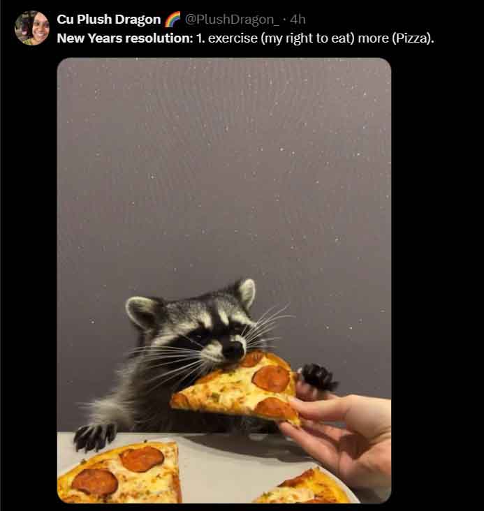 Funny new year resolutions