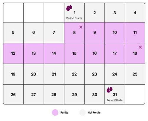 Calendar rhythm method of contraception chart
