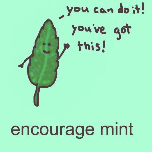 This is your encourage mint