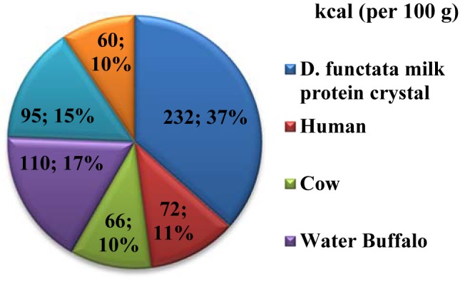 Calories chart D. functata