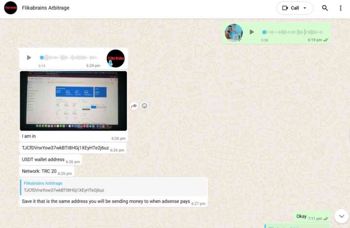 Chat with FLika Brains